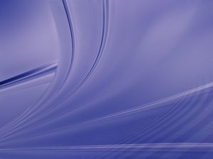 股权架构